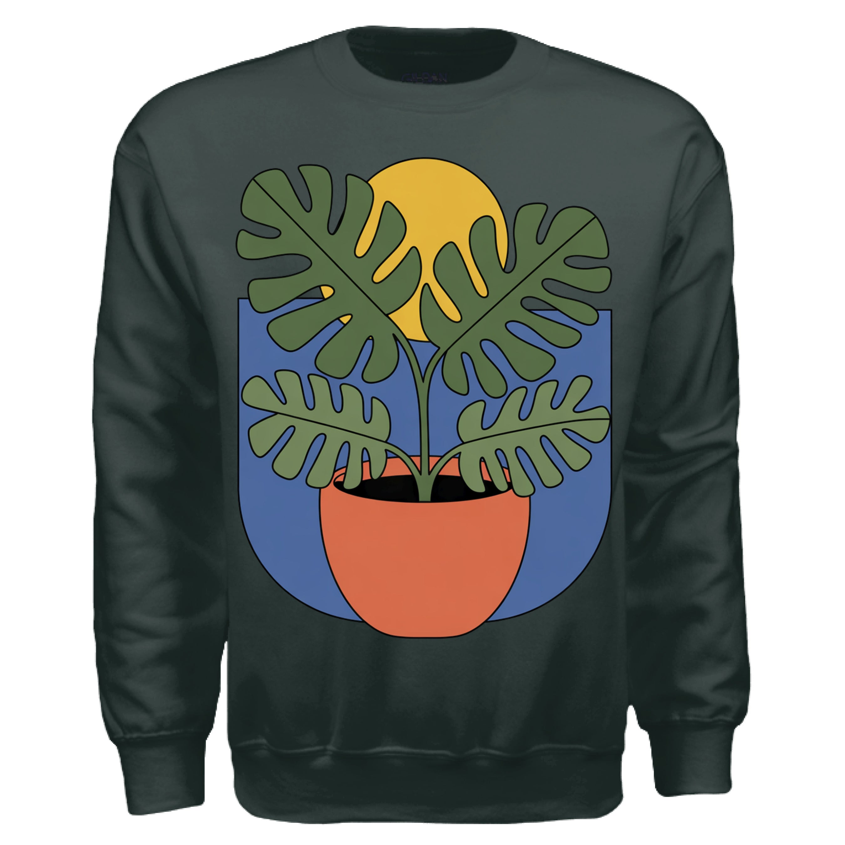 FOREST GREEN - FRONT